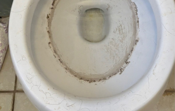 Before image of matters